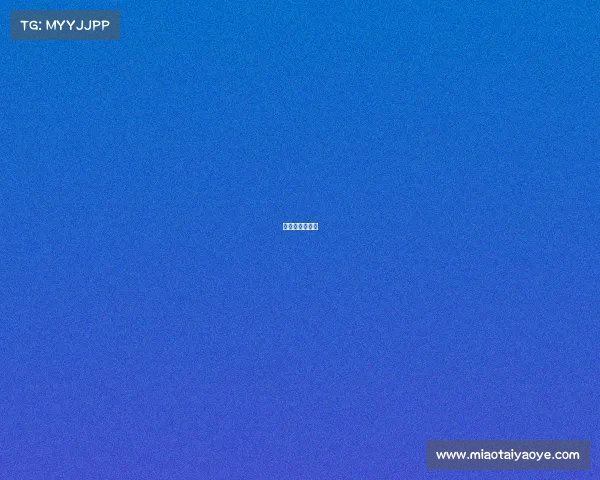 国际龙舟冠军赛